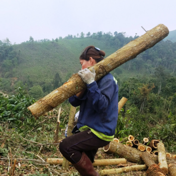 Tính chất công việc